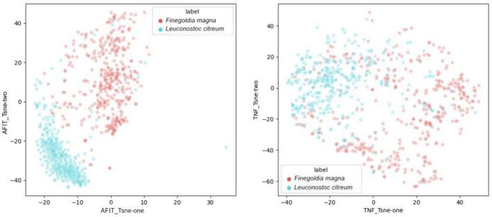 https://cdn.ncbi.nlm.nih.gov/pmc/blobs/d6b3/11253361/70c40ae32ca6/12859_2024_5859_Fig3_HTML.jpg