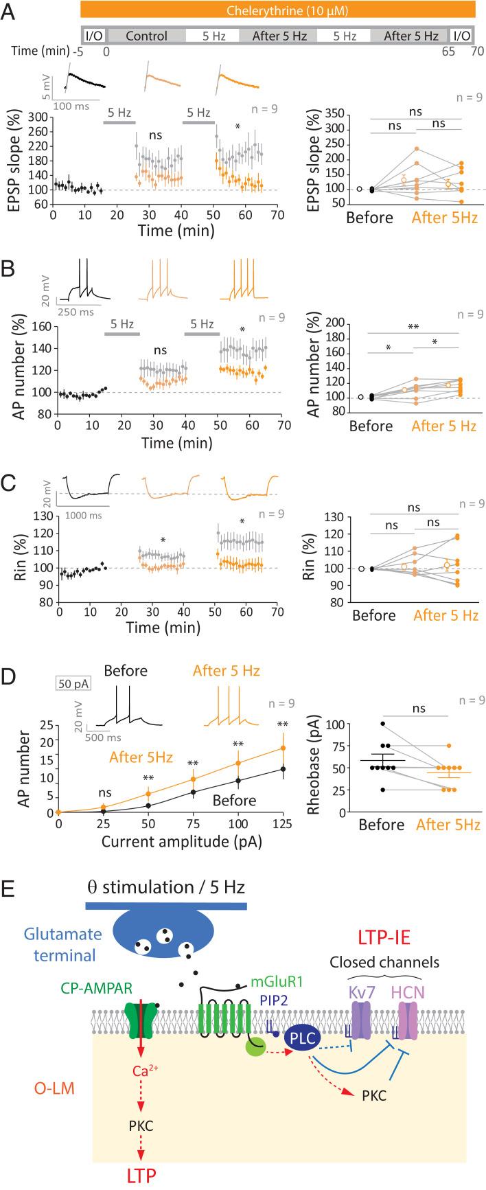 https://cdn.ncbi.nlm.nih.gov/pmc/blobs/d6b4/9636972/0946aea53fa5/pnas.2205264119fig07.jpg