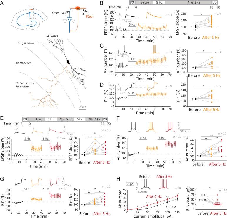 https://cdn.ncbi.nlm.nih.gov/pmc/blobs/d6b4/9636972/3da34a8ab5d5/pnas.2205264119fig01.jpg