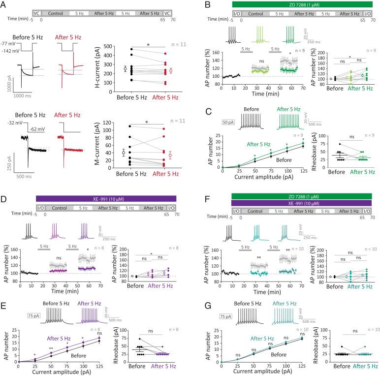 https://cdn.ncbi.nlm.nih.gov/pmc/blobs/d6b4/9636972/9cfecf1a6fbc/pnas.2205264119fig05.jpg