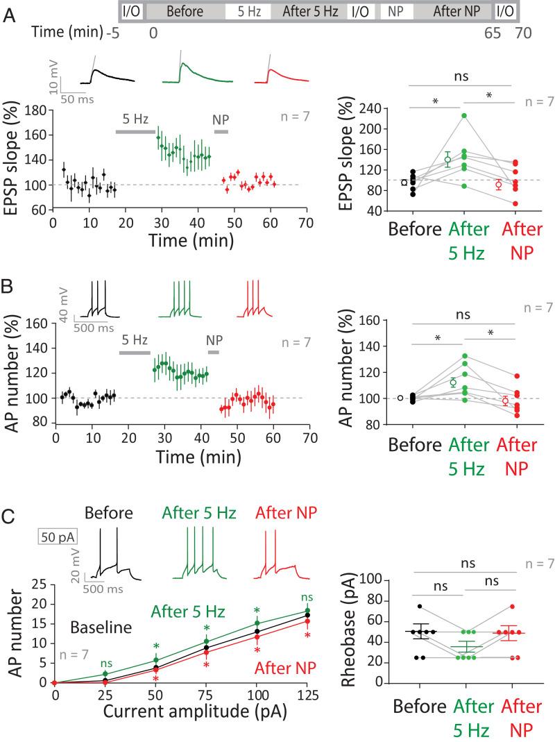 https://cdn.ncbi.nlm.nih.gov/pmc/blobs/d6b4/9636972/9f38f56c3e66/pnas.2205264119fig02.jpg