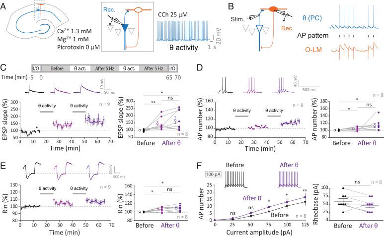 https://cdn.ncbi.nlm.nih.gov/pmc/blobs/d6b4/9636972/c70c82867c95/pnas.2205264119fig03.jpg