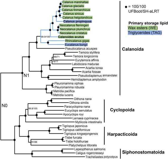 https://cdn.ncbi.nlm.nih.gov/pmc/blobs/d6b6/12288814/6605d7fc5660/MEC-34-e17371-g001.jpg