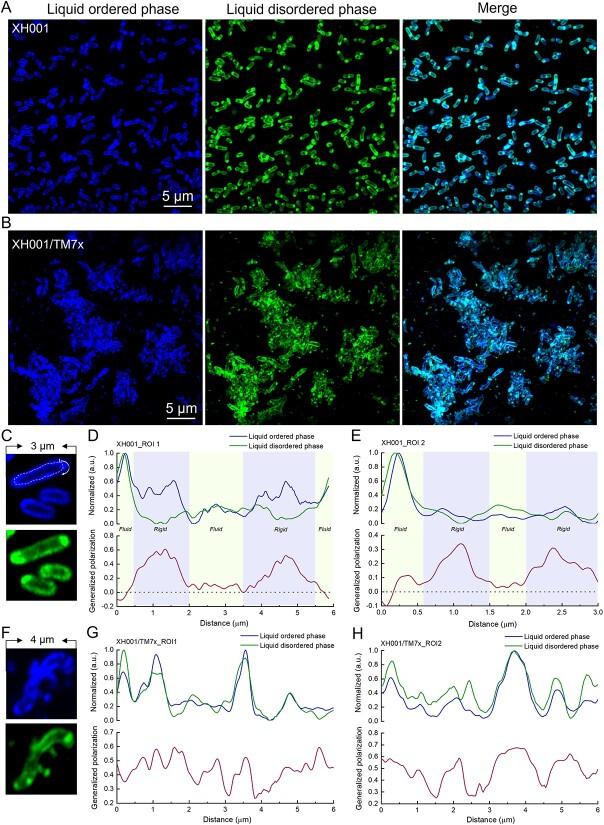 https://cdn.ncbi.nlm.nih.gov/pmc/blobs/d6b7/10939385/38e595d4f1e5/wrad034f2.jpg