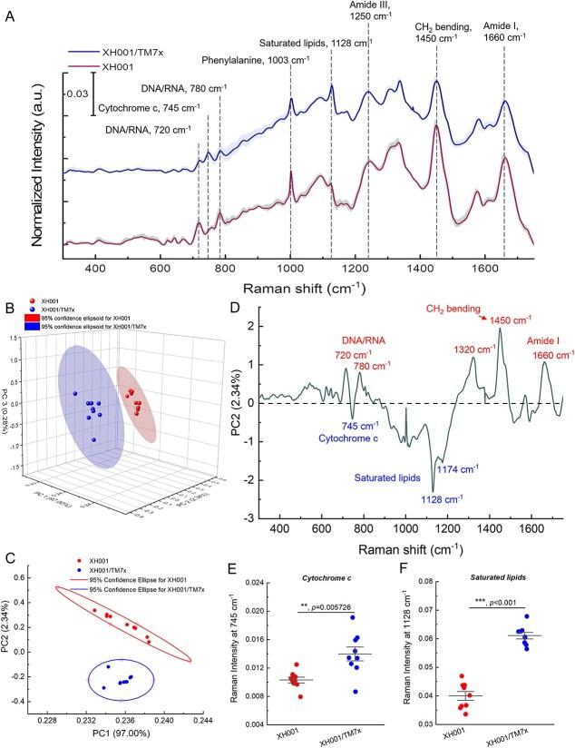 https://cdn.ncbi.nlm.nih.gov/pmc/blobs/d6b7/10939385/4b9c3fc47ff5/wrad034f4.jpg