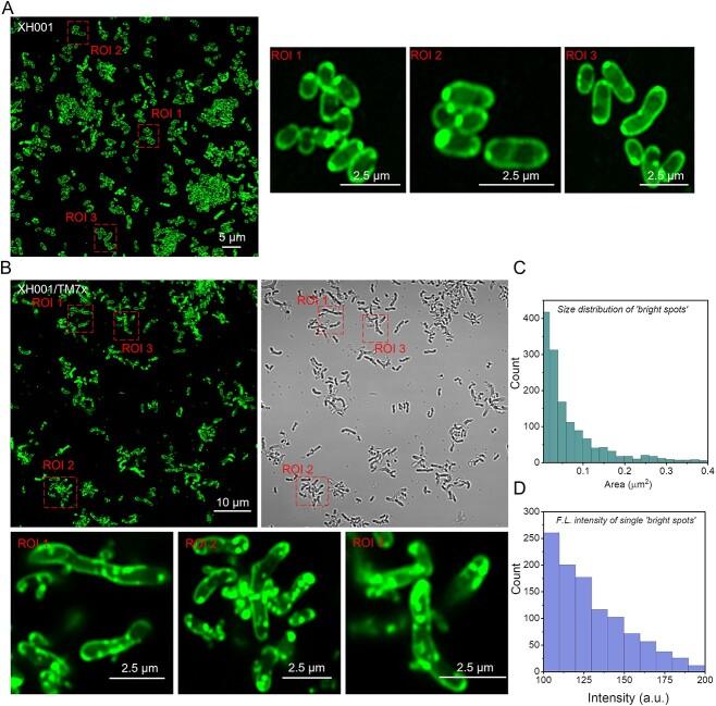 https://cdn.ncbi.nlm.nih.gov/pmc/blobs/d6b7/10939385/7d5384c4c0ee/wrad034f1.jpg
