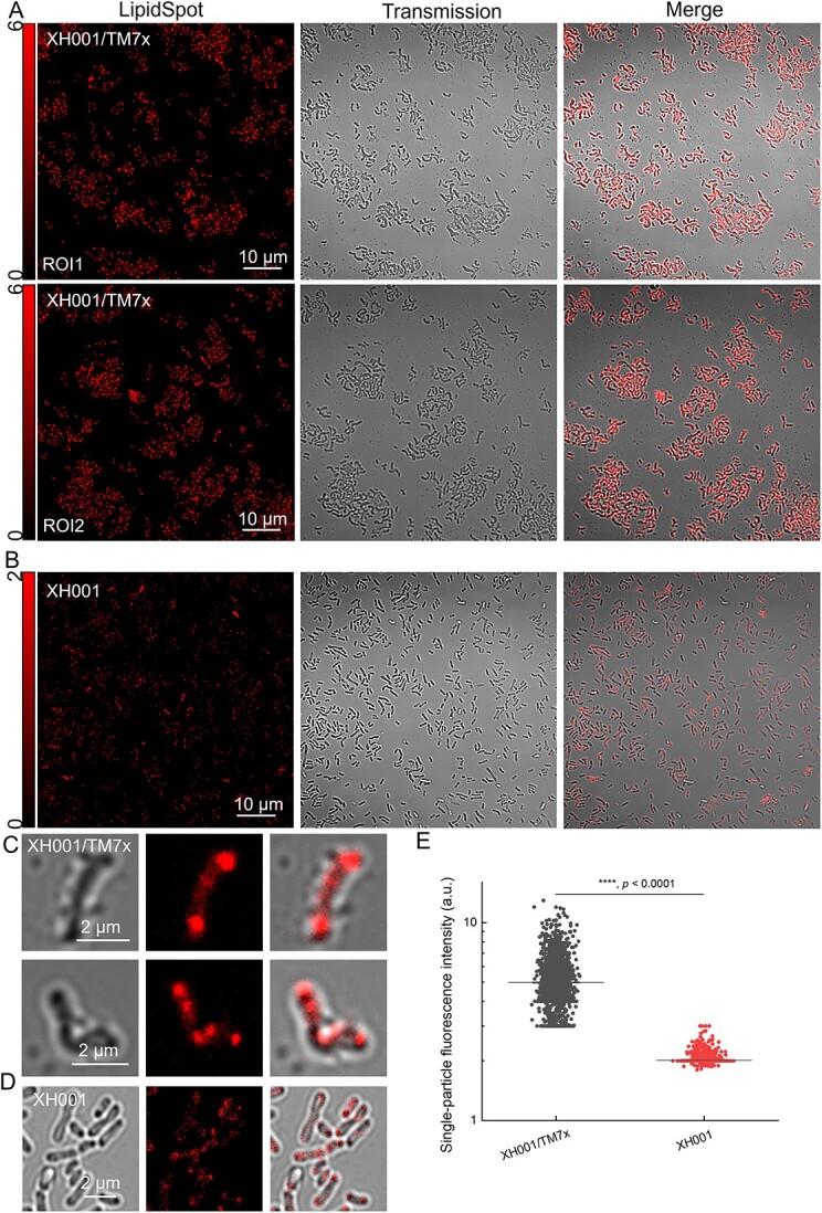 https://cdn.ncbi.nlm.nih.gov/pmc/blobs/d6b7/10939385/ac3d6ef2e45c/wrad034f3.jpg