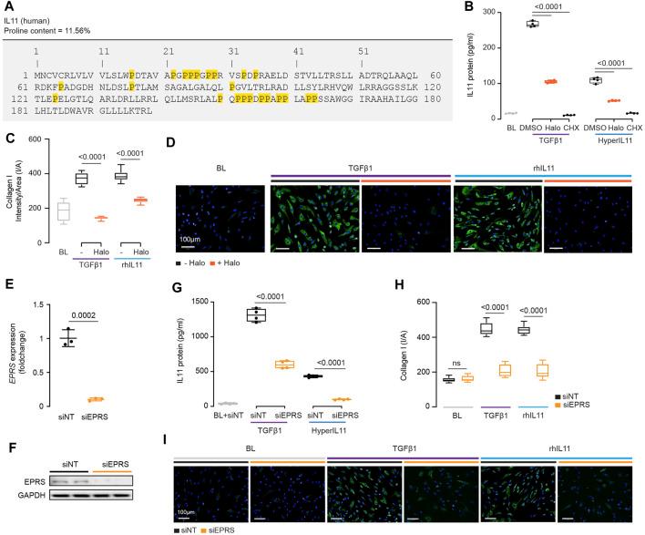 https://cdn.ncbi.nlm.nih.gov/pmc/blobs/d6bb/8505966/0692a788c3a7/fmolb-08-740650-g004.jpg