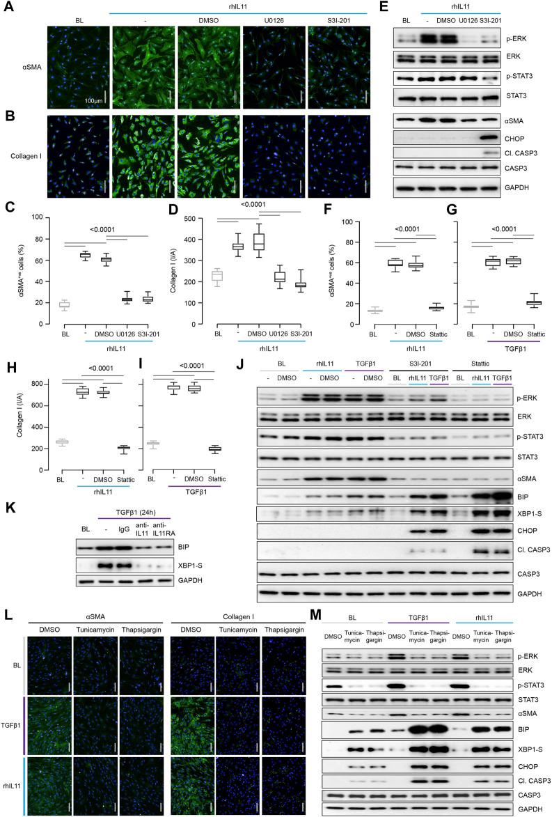 https://cdn.ncbi.nlm.nih.gov/pmc/blobs/d6bb/8505966/2f48075af554/fmolb-08-740650-g002.jpg