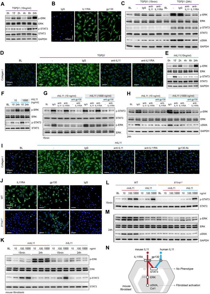 https://cdn.ncbi.nlm.nih.gov/pmc/blobs/d6bb/8505966/ad47162bf348/fmolb-08-740650-g001.jpg