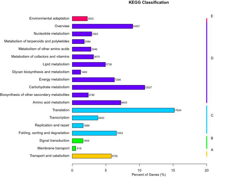 https://cdn.ncbi.nlm.nih.gov/pmc/blobs/d6bd/7494938/2a2116f7c274/41598_2020_71529_Fig3_HTML.jpg