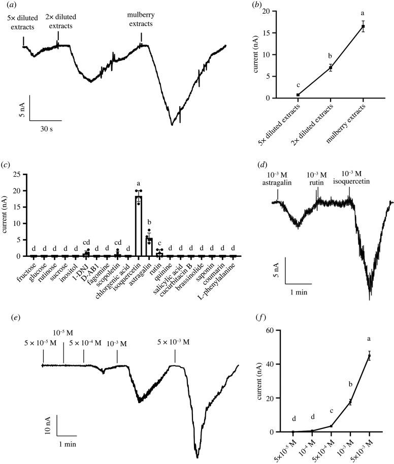 https://cdn.ncbi.nlm.nih.gov/pmc/blobs/d6bd/9597409/188236754d02/rspb20221427f04.jpg