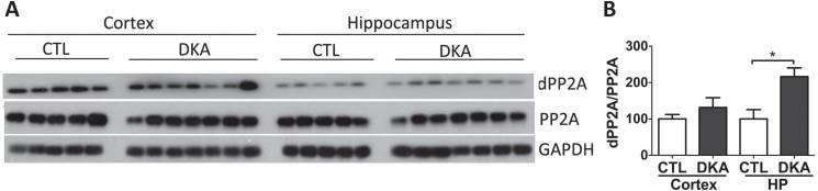 https://cdn.ncbi.nlm.nih.gov/pmc/blobs/d6c3/11091760/5dc95f387ba0/adr-8-adr240040-g005.jpg