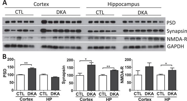 https://cdn.ncbi.nlm.nih.gov/pmc/blobs/d6c3/11091760/bc269c558e22/adr-8-adr240040-g007.jpg