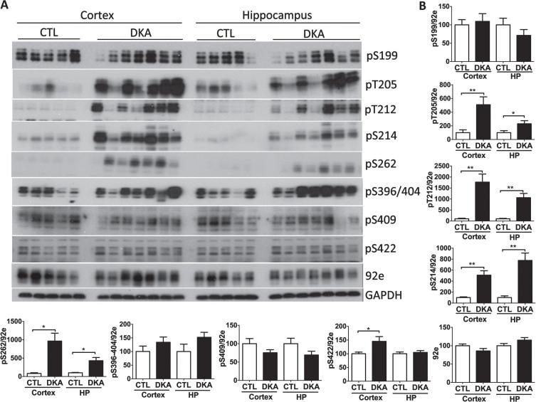 https://cdn.ncbi.nlm.nih.gov/pmc/blobs/d6c3/11091760/d638018d77b0/adr-8-adr240040-g001.jpg
