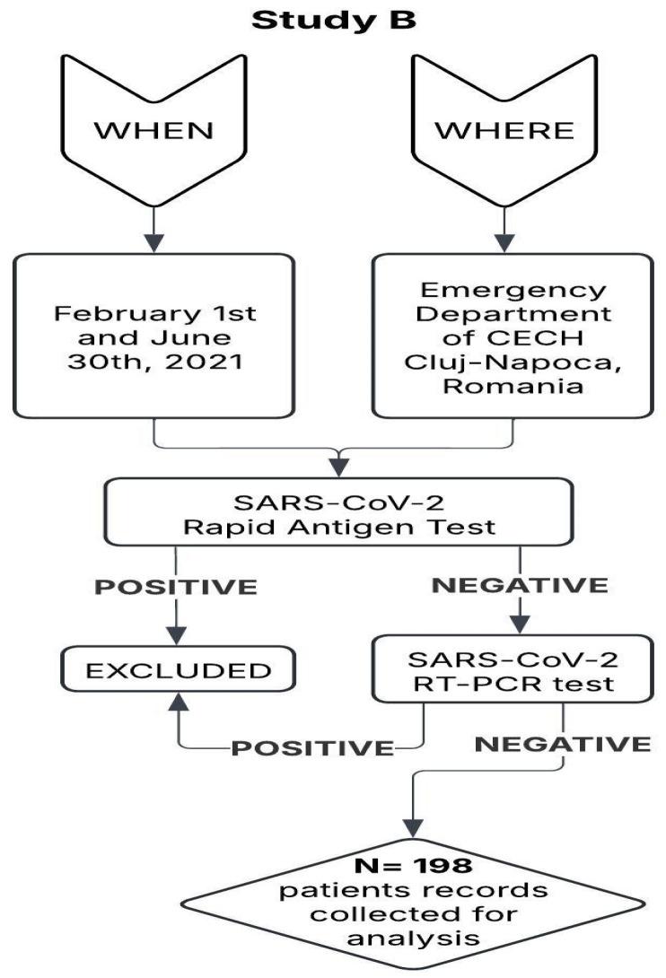https://cdn.ncbi.nlm.nih.gov/pmc/blobs/d6c3/12196300/8f9dc0f243ce/nursrep-15-00196-g002.jpg