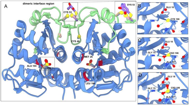 https://cdn.ncbi.nlm.nih.gov/pmc/blobs/d6c4/9583617/cb7bd0a5f2f2/bi2c00349_0005.jpg