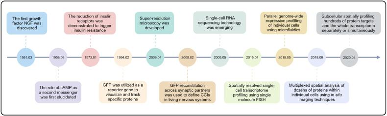 https://cdn.ncbi.nlm.nih.gov/pmc/blobs/d6c6/11382761/a3c5c52667c8/41392_2024_1888_Fig1_HTML.jpg