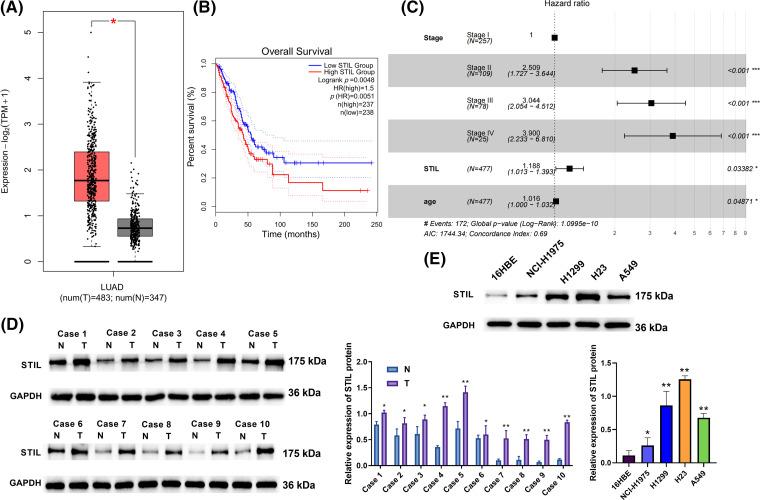 https://cdn.ncbi.nlm.nih.gov/pmc/blobs/d6c6/11671407/4791e40e655e/OncolRes-33-48562-f001.jpg
