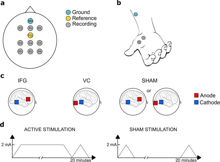 https://cdn.ncbi.nlm.nih.gov/pmc/blobs/d6c7/7210274/6bc94ce846e8/41598_2020_62921_Fig4_HTML.jpg