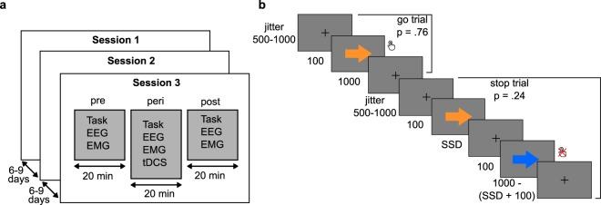 https://cdn.ncbi.nlm.nih.gov/pmc/blobs/d6c7/7210274/fafbf70ffad7/41598_2020_62921_Fig3_HTML.jpg