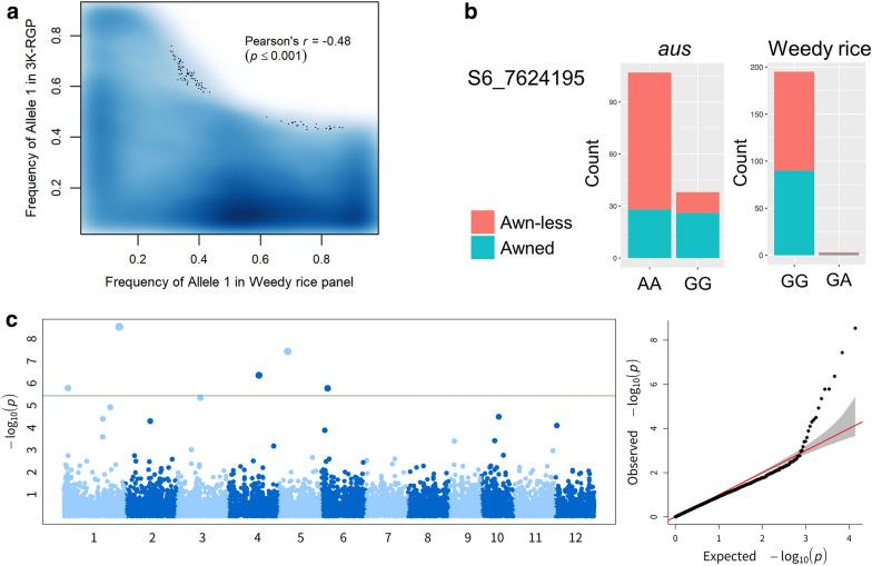 https://cdn.ncbi.nlm.nih.gov/pmc/blobs/d6c8/7801593/1d24d904b9d6/40529_2020_309_Fig8_HTML.jpg