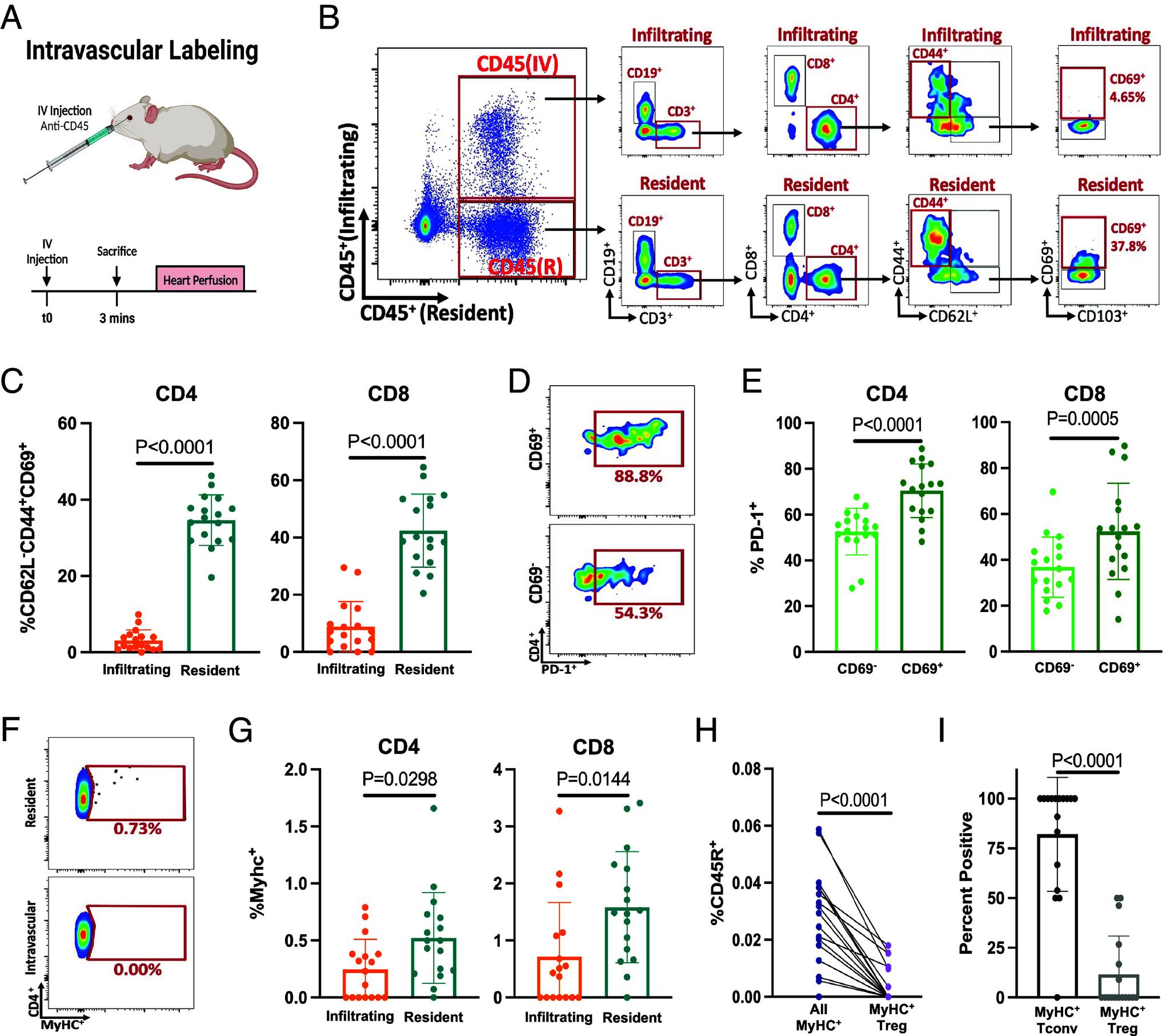 https://cdn.ncbi.nlm.nih.gov/pmc/blobs/d6ca/11494310/d19c5c8fb149/pnas.2323052121fig01.jpg