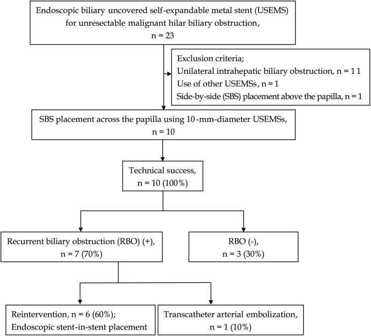 https://cdn.ncbi.nlm.nih.gov/pmc/blobs/d6ca/6537491/3891fbf4cee3/10.1177_2631774519846345-fig3.jpg