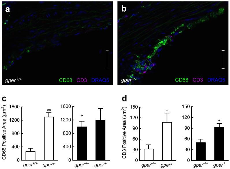 https://cdn.ncbi.nlm.nih.gov/pmc/blobs/d6cb/4274506/ec185a753dc0/srep07564-f3.jpg