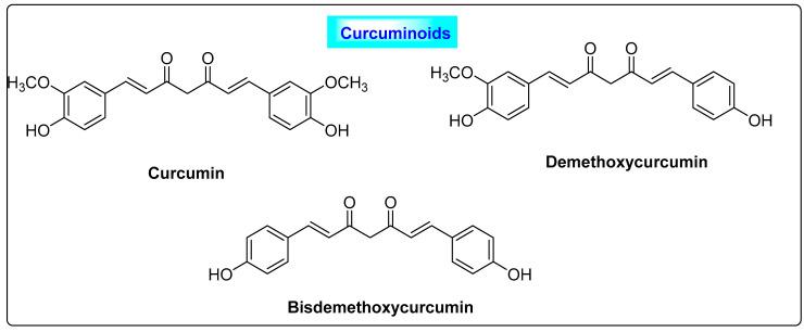 https://cdn.ncbi.nlm.nih.gov/pmc/blobs/d6cb/9844343/dc55831c5f9a/biotech-12-00004-g005.jpg