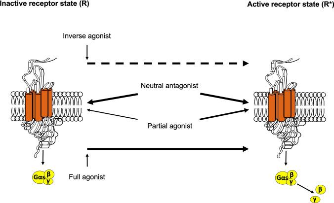 https://cdn.ncbi.nlm.nih.gov/pmc/blobs/d6cc/11512905/4849ad93be52/40265_2024_2086_Fig2_HTML.jpg