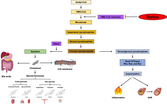 https://cdn.ncbi.nlm.nih.gov/pmc/blobs/d6cc/11512905/8f7ab9227cc2/40265_2024_2086_Fig5_HTML.jpg