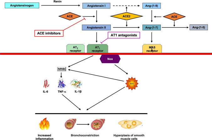 https://cdn.ncbi.nlm.nih.gov/pmc/blobs/d6cc/11512905/a9d6c75ca917/40265_2024_2086_Fig4_HTML.jpg