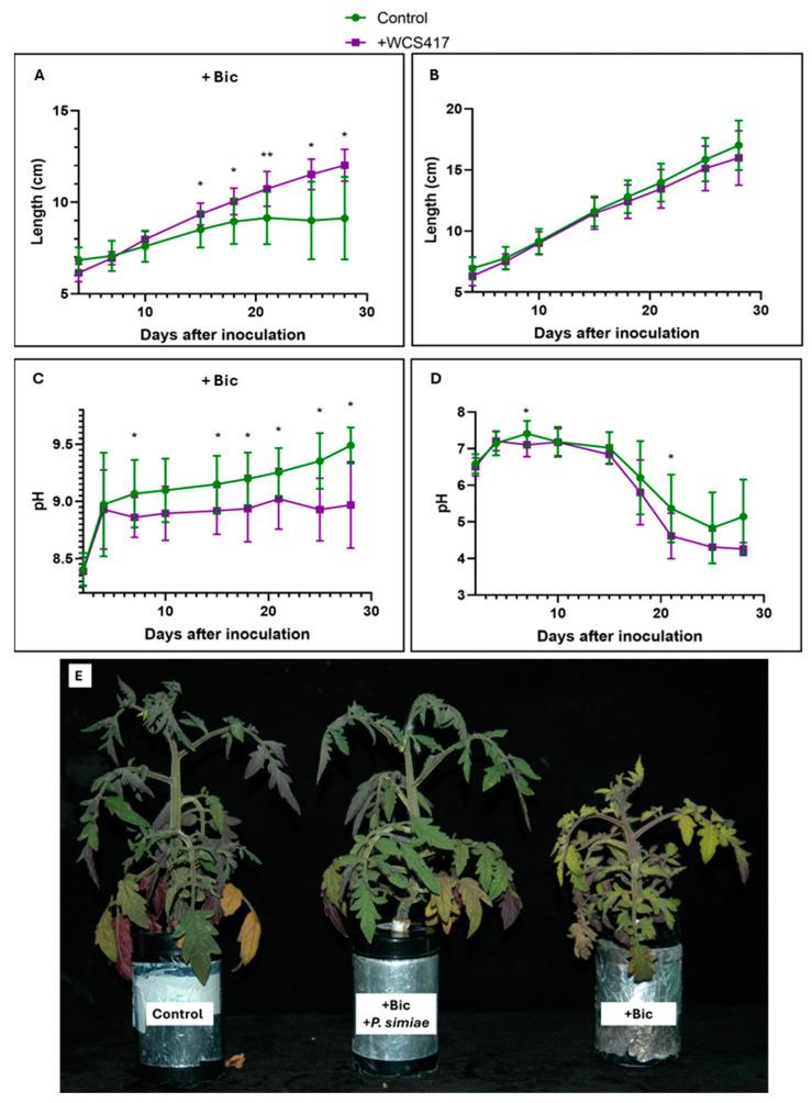 https://cdn.ncbi.nlm.nih.gov/pmc/blobs/d6ce/11768916/81be7de55dc9/plants-14-00264-g001.jpg