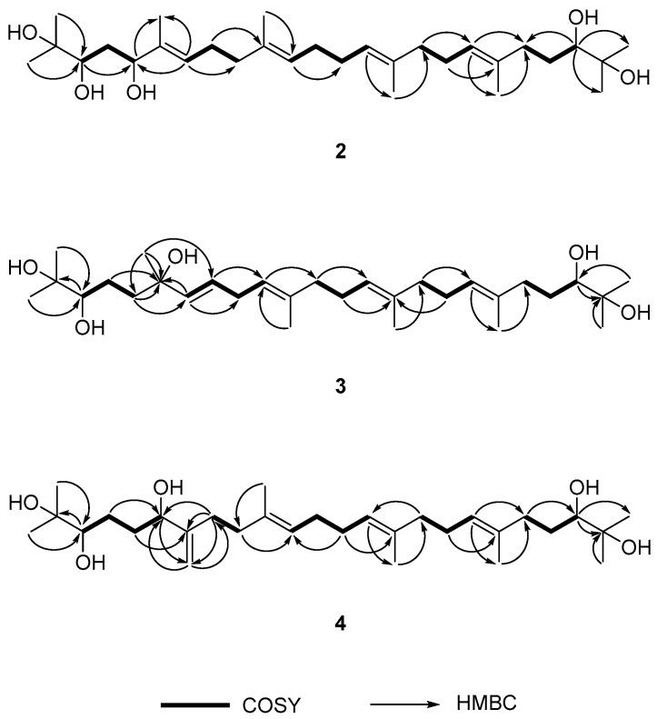 https://cdn.ncbi.nlm.nih.gov/pmc/blobs/d6ce/6151764/852f533a7927/molecules-22-01611-g002.jpg