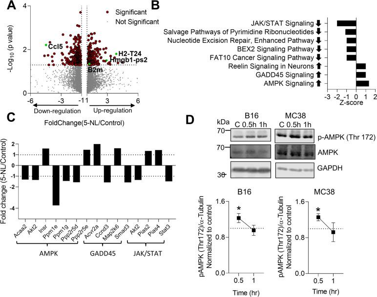 https://cdn.ncbi.nlm.nih.gov/pmc/blobs/d6cf/10426104/096ac710ff67/12943_2023_1833_Fig5_HTML.jpg