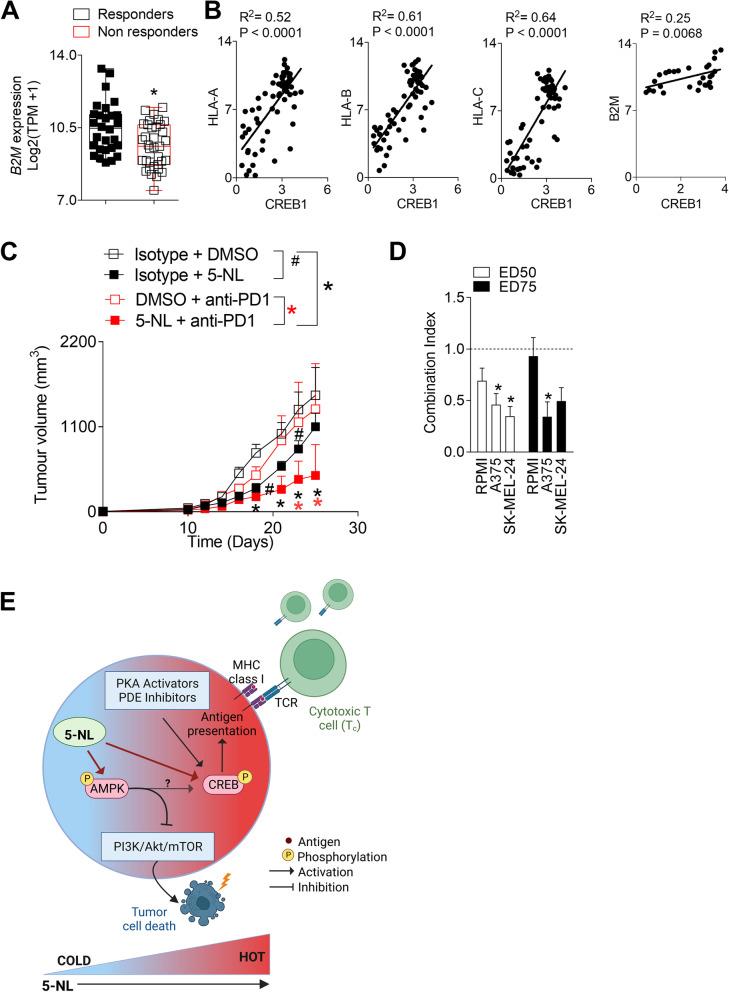 https://cdn.ncbi.nlm.nih.gov/pmc/blobs/d6cf/10426104/11cf709526d0/12943_2023_1833_Fig6_HTML.jpg