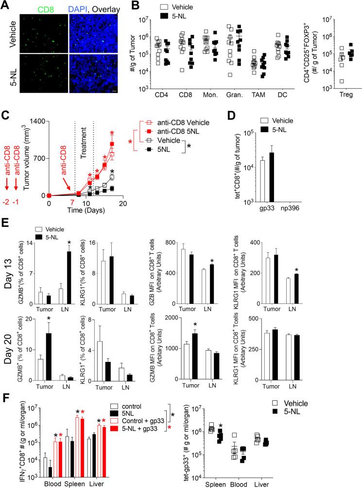 https://cdn.ncbi.nlm.nih.gov/pmc/blobs/d6cf/10426104/4564ed5354b4/12943_2023_1833_Fig2_HTML.jpg