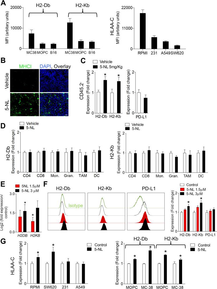 https://cdn.ncbi.nlm.nih.gov/pmc/blobs/d6cf/10426104/4b1748d09735/12943_2023_1833_Fig3_HTML.jpg