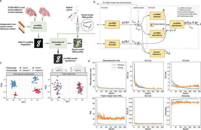 https://cdn.ncbi.nlm.nih.gov/pmc/blobs/d6cf/11582319/c7295b876941/41467_2024_53851_Fig1_HTML.jpg
