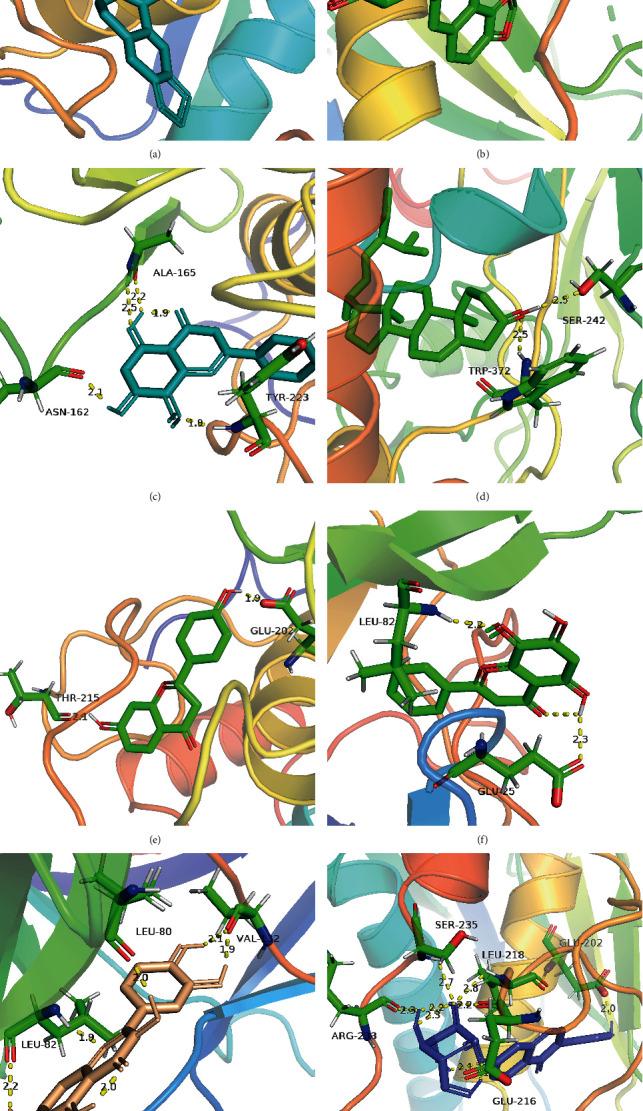 https://cdn.ncbi.nlm.nih.gov/pmc/blobs/d6d0/7710413/d04ce1c1fe07/BMRI2020-5217405.008.jpg