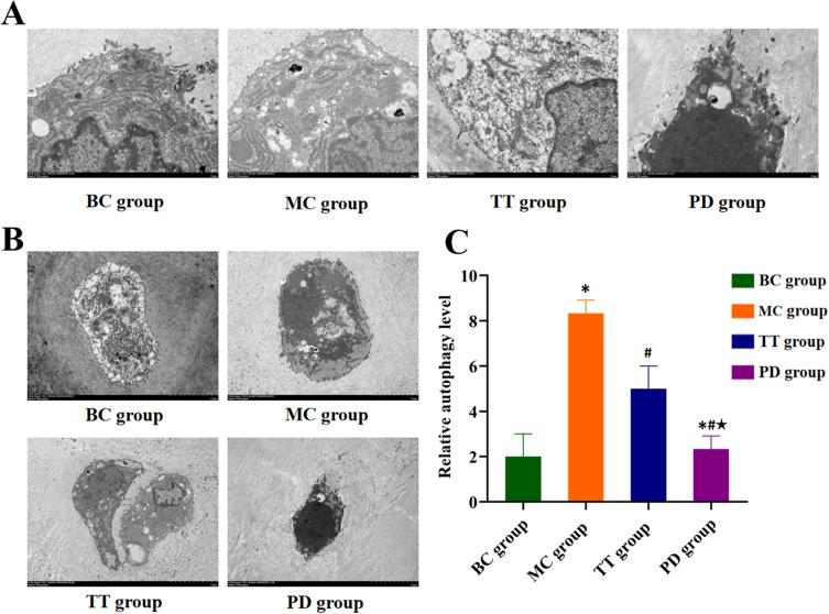 https://cdn.ncbi.nlm.nih.gov/pmc/blobs/d6d1/12327418/6475468bfcf8/JIR-18-10403-g0006.jpg