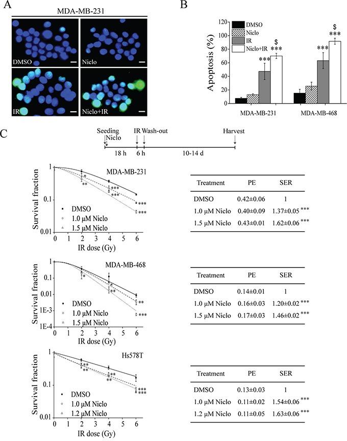 https://cdn.ncbi.nlm.nih.gov/pmc/blobs/d6d2/5173121/1e53f2297962/oncotarget-07-42126-g003.jpg