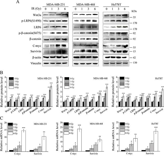 https://cdn.ncbi.nlm.nih.gov/pmc/blobs/d6d2/5173121/d093e59359a2/oncotarget-07-42126-g001.jpg