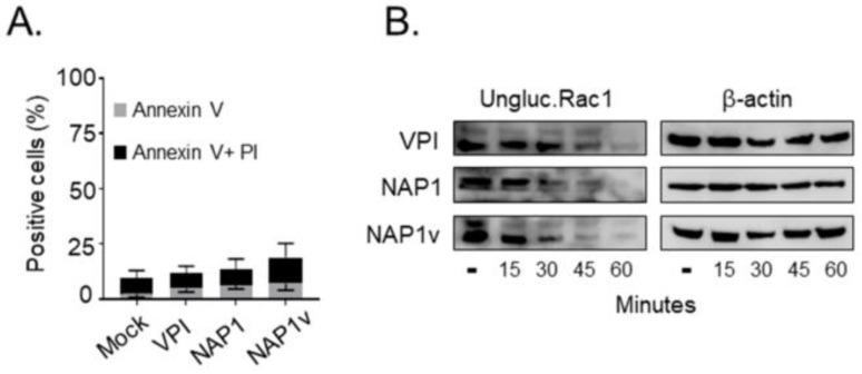 https://cdn.ncbi.nlm.nih.gov/pmc/blobs/d6d2/6628394/140e43655fc9/toxins-11-00348-g003.jpg