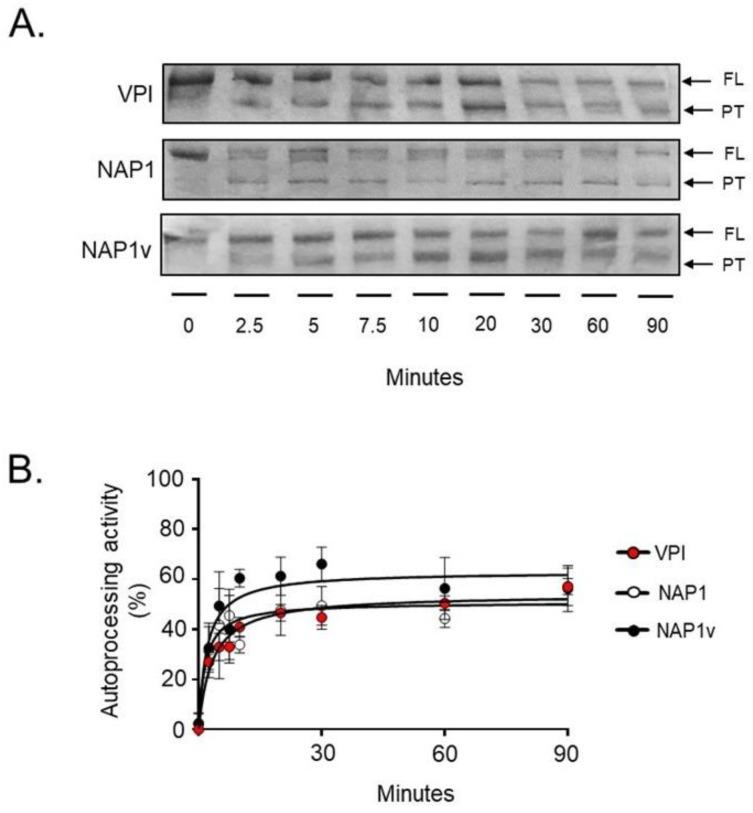 https://cdn.ncbi.nlm.nih.gov/pmc/blobs/d6d2/6628394/46c17882aec7/toxins-11-00348-g004.jpg