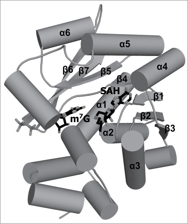 https://cdn.ncbi.nlm.nih.gov/pmc/blobs/d6d3/4615557/4392b5dcdef1/krnb-11-12-1004955-g004.jpg