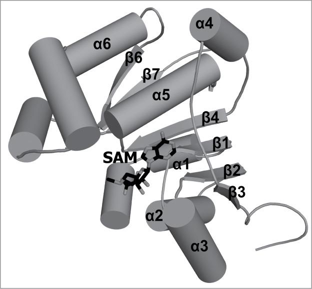 https://cdn.ncbi.nlm.nih.gov/pmc/blobs/d6d3/4615557/fd46b3659c94/krnb-11-12-1004955-g005.jpg