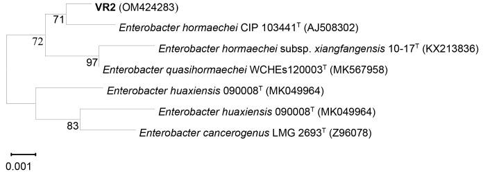https://cdn.ncbi.nlm.nih.gov/pmc/blobs/d6d4/10093774/54a4731fe643/TLSR-34-1-219-g001.jpg