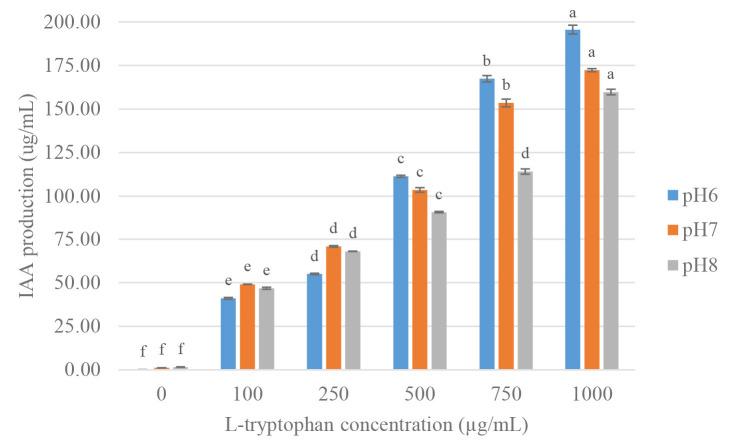 https://cdn.ncbi.nlm.nih.gov/pmc/blobs/d6d4/10093774/b4ee1699c443/TLSR-34-1-219-g006.jpg
